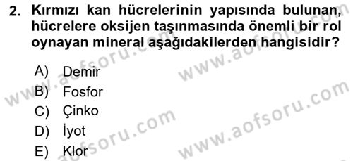 Genel Beslenme Dersi 2018 - 2019 Yılı (Vize) Ara Sınav Soruları 2. Soru