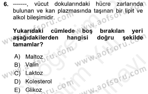 Genel Beslenme Dersi 2018 - 2019 Yılı (Vize) Ara Sınav Soruları 6. Soru