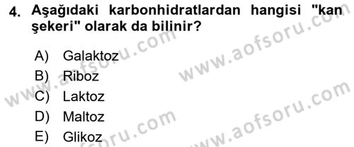 Genel Beslenme Dersi 2018 - 2019 Yılı (Final) Dönem Sonu Sınav Soruları 4. Soru