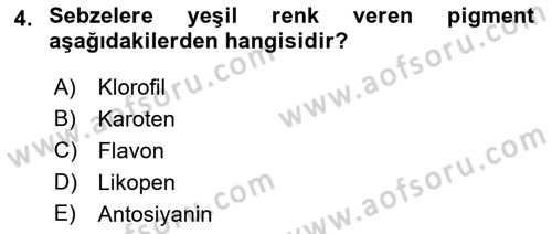 Genel Beslenme Dersi 2018 - 2019 Yılı Yaz Okulu Sınav Soruları 4. Soru