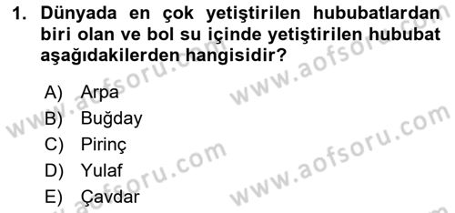Genel Beslenme Dersi 2020 - 2021 Yılı Yaz Okulu Sınav Soruları 1. Soru