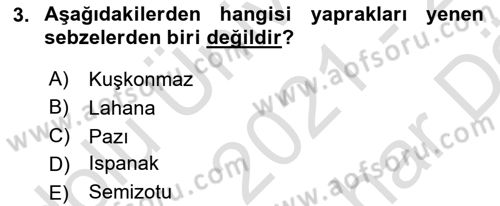 Genel Beslenme Dersi 2021 - 2022 Yılı (Vize) Ara Sınav Soruları 3. Soru