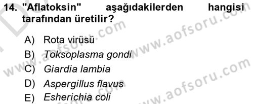 Genel Beslenme Dersi 2021 - 2022 Yılı (Final) Dönem Sonu Sınav Soruları 14. Soru