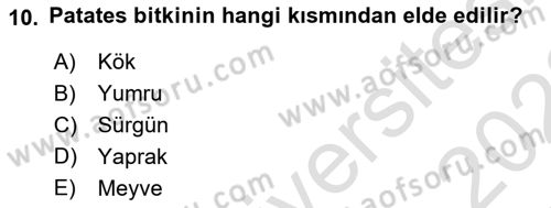 Genel Beslenme Dersi 2021 - 2022 Yılı Yaz Okulu Sınav Soruları 10. Soru
