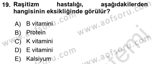 Genel Beslenme Dersi 2021 - 2022 Yılı Yaz Okulu Sınav Soruları 19. Soru