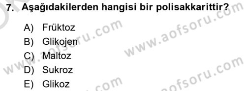 Genel Beslenme Dersi 2021 - 2022 Yılı Yaz Okulu Sınav Soruları 7. Soru