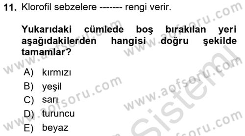 Genel Beslenme Dersi 2022 - 2023 Yılı Yaz Okulu Sınav Soruları 11. Soru