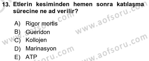 Genel Beslenme Dersi 2022 - 2023 Yılı Yaz Okulu Sınav Soruları 13. Soru