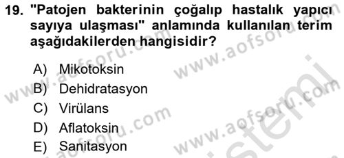 Genel Beslenme Dersi 2022 - 2023 Yılı Yaz Okulu Sınav Soruları 19. Soru