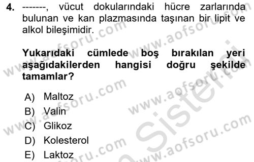 Genel Beslenme Dersi 2022 - 2023 Yılı Yaz Okulu Sınav Soruları 4. Soru