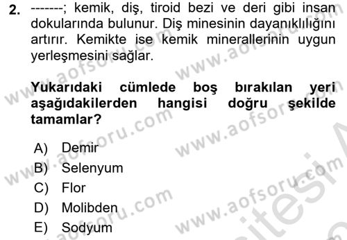 Genel Beslenme Dersi 2023 - 2024 Yılı (Vize) Ara Sınav Soruları 2. Soru
