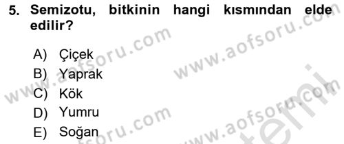 Genel Beslenme Dersi 2023 - 2024 Yılı (Vize) Ara Sınav Soruları 5. Soru