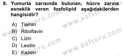 Genel Beslenme Dersi 2023 - 2024 Yılı (Vize) Ara Sınav Soruları 8. Soru