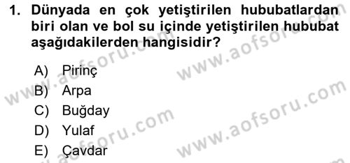 Genel Beslenme Dersi 2023 - 2024 Yılı (Final) Dönem Sonu Sınav Soruları 1. Soru