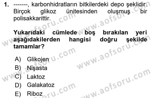 Genel Beslenme Dersi 2023 - 2024 Yılı Yaz Okulu Sınav Soruları 1. Soru