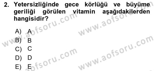 Genel Beslenme Dersi 2023 - 2024 Yılı Yaz Okulu Sınav Soruları 2. Soru