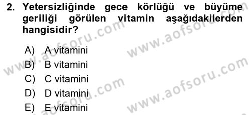 Genel Beslenme Dersi 2024 - 2025 Yılı (Vize) Ara Sınav Soruları 2. Soru