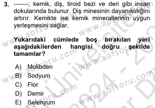 Genel Beslenme Dersi 2024 - 2025 Yılı (Vize) Ara Sınav Soruları 3. Soru