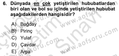 Genel Beslenme Dersi 2024 - 2025 Yılı (Vize) Ara Sınav Soruları 6. Soru