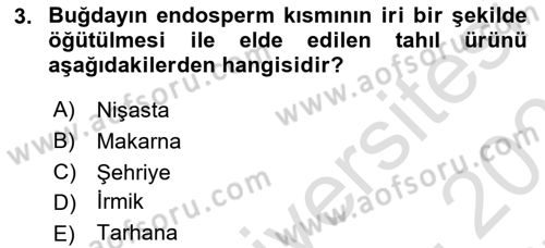 Genel Beslenme Dersi 2024 - 2025 Yılı (Final) Dönem Sonu Sınav Soruları 3. Soru