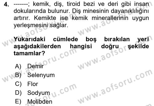 Genel Beslenme Dersi 2025 - 2026 Yılı (Vize) Ara Sınav Soruları 4. Soru