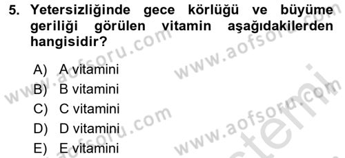 Genel Beslenme Dersi 2025 - 2026 Yılı (Vize) Ara Sınav Soruları 5. Soru