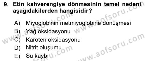 Genel Beslenme Dersi 2025 - 2026 Yılı (Final) Dönem Sonu Sınav Soruları 9. Soru