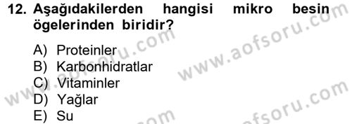 Çocuk ve Ergen Bakımı Dersi 2012 - 2013 Yılı (Vize) Ara Sınav Soruları 12. Soru