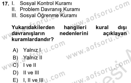 Çocuk ve Ergen Bakımı Dersi 2016 - 2017 Yılı (Final) Dönem Sonu Sınav Soruları 17. Soru