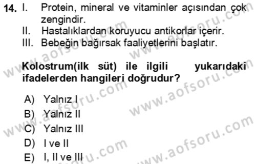Çocuk ve Ergen Bakımı Dersi 2018 - 2019 Yılı 3 Ders Sınav Soruları 14. Soru