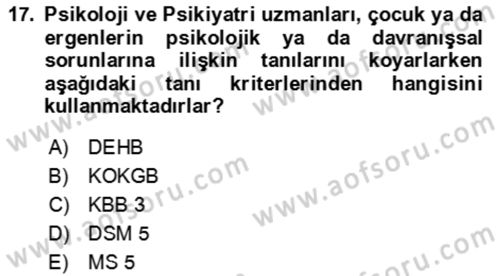 Çocuk ve Ergen Bakımı Dersi 2018 - 2019 Yılı (Vize) Ara Sınav Soruları 17. Soru