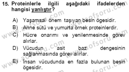 Çocuk ve Ergen Bakımı Dersi 2020 - 2021 Yılı Yaz Okulu Sınav Soruları 15. Soru