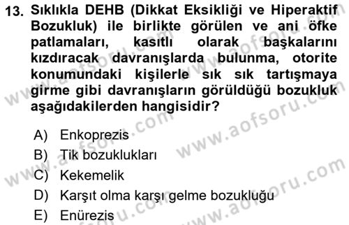 Çocuk ve Ergen Bakımı Dersi 2023 - 2024 Yılı (Vize) Ara Sınav Soruları 13. Soru