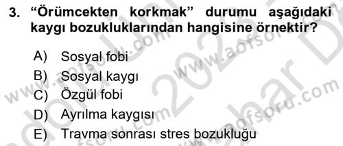 Çocuk ve Ergen Bakımı Dersi 2023 - 2024 Yılı (Vize) Ara Sınav Soruları 3. Soru