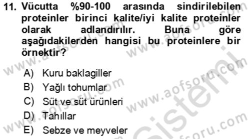 Çocuk ve Ergen Bakımı Dersi 2023 - 2024 Yılı (Final) Dönem Sonu Sınav Soruları 11. Soru