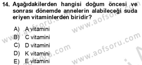 Çocuk ve Ergen Bakımı Dersi 2023 - 2024 Yılı Yaz Okulu Sınav Soruları 14. Soru