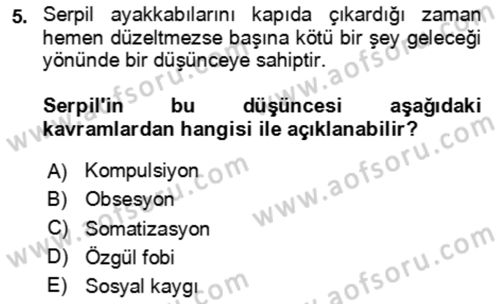 Çocuk ve Ergen Bakımı Dersi 2023 - 2024 Yılı Yaz Okulu Sınav Soruları 5. Soru