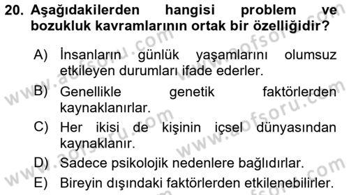 Çocuk ve Ergen Bakımı Dersi 2024 - 2025 Yılı (Vize) Ara Sınav Soruları 20. Soru