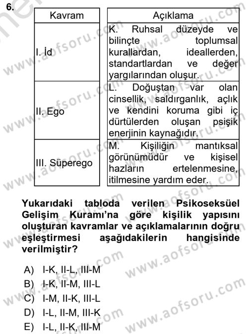 Çocuk ve Ergen Bakımı Dersi 2024 - 2025 Yılı (Vize) Ara Sınav Soruları 6. Soru