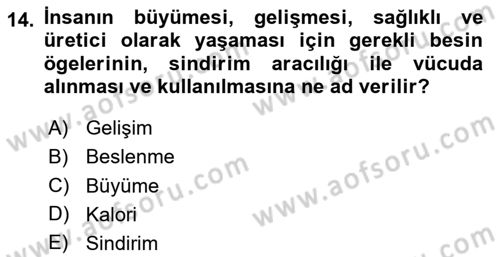 Çocuk ve Ergen Bakımı Dersi 2024 - 2025 Yılı Yaz Okulu Sınav Soruları 14. Soru