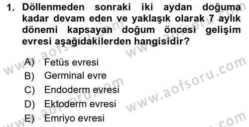 Çocuk ve Ergen Bakımı Dersi 2025 - 2026 Yılı (Vize) Ara Sınav Soruları 1. Soru
