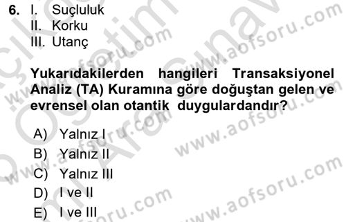 Çocuk ve Ergen Bakımı Dersi 2025 - 2026 Yılı (Vize) Ara Sınav Soruları 6. Soru