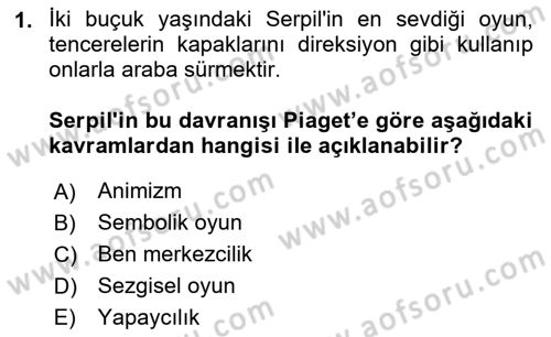 Çocuk ve Ergen Bakımı Dersi 2025 - 2026 Yılı (Final) Dönem Sonu Sınav Soruları 1. Soru