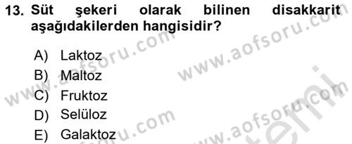 Çocuk ve Ergen Bakımı Dersi 2025 - 2026 Yılı (Final) Dönem Sonu Sınav Soruları 13. Soru