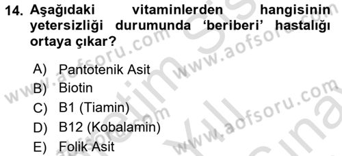 Çocuk ve Ergen Bakımı Dersi 2025 - 2026 Yılı (Final) Dönem Sonu Sınav Soruları 14. Soru