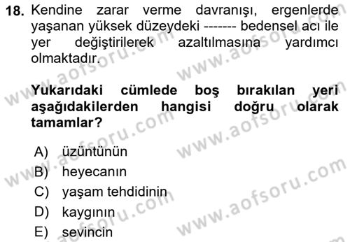 Çocuk ve Ergen Bakımı Dersi 2025 - 2026 Yılı (Final) Dönem Sonu Sınav Soruları 18. Soru