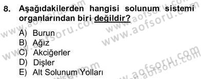 Ev Kazaları ve İlk Yardım Dersi 2012 - 2013 Yılı (Vize) Ara Sınav Soruları 8. Soru
