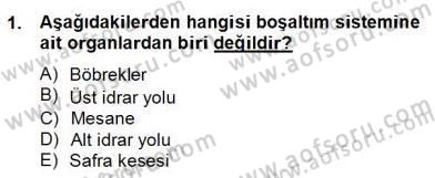 Ev Kazaları ve İlk Yardım Dersi 2012 - 2013 Yılı (Final) Dönem Sonu Sınav Soruları 1. Soru