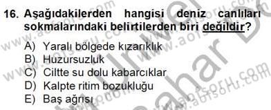 Ev Kazaları ve İlk Yardım Dersi 2012 - 2013 Yılı (Final) Dönem Sonu Sınav Soruları 16. Soru