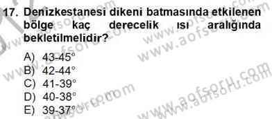 Ev Kazaları ve İlk Yardım Dersi 2012 - 2013 Yılı (Final) Dönem Sonu Sınav Soruları 17. Soru